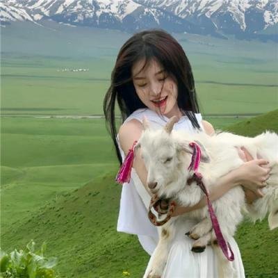 唐宫美人天下